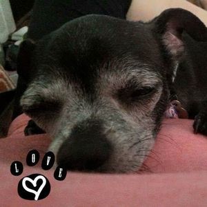 Meet your Posher, Genevive